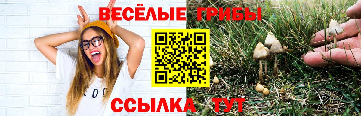 Галлюциногенные грибы мицелий Якутск