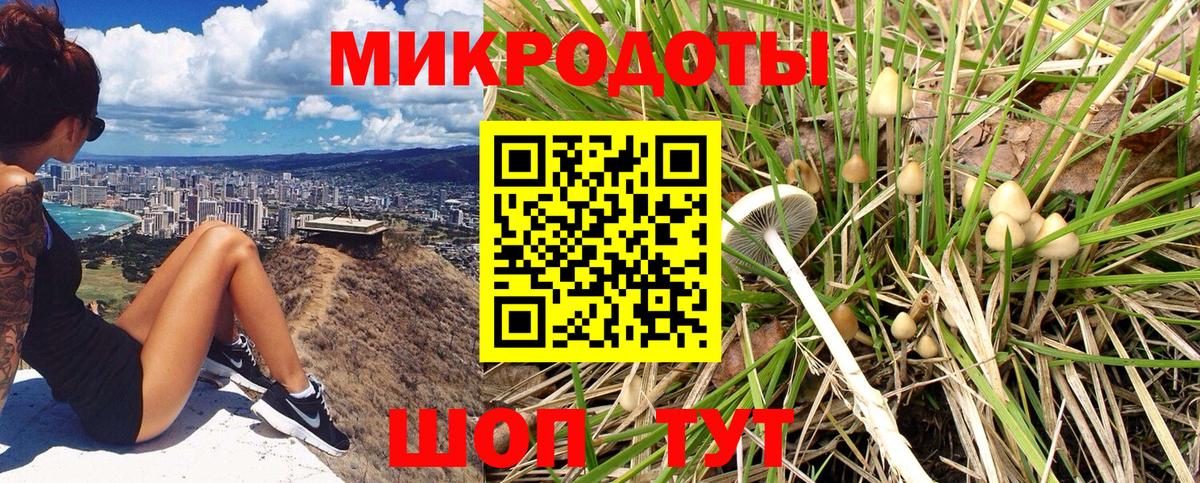 Галлюциногенные грибы Psilocybine cubensis  Галлюциногенные грибы Magic Shrooms  Якутск  Вход с VPN 